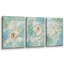 «Aqua Seashell Starfish Coastal», impression sur toile, impression sur toile encadrée, 3 pièces-131583164-131583165