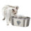 Fontaine pour chat en acier inoxydable 3,5 L PETMAKER