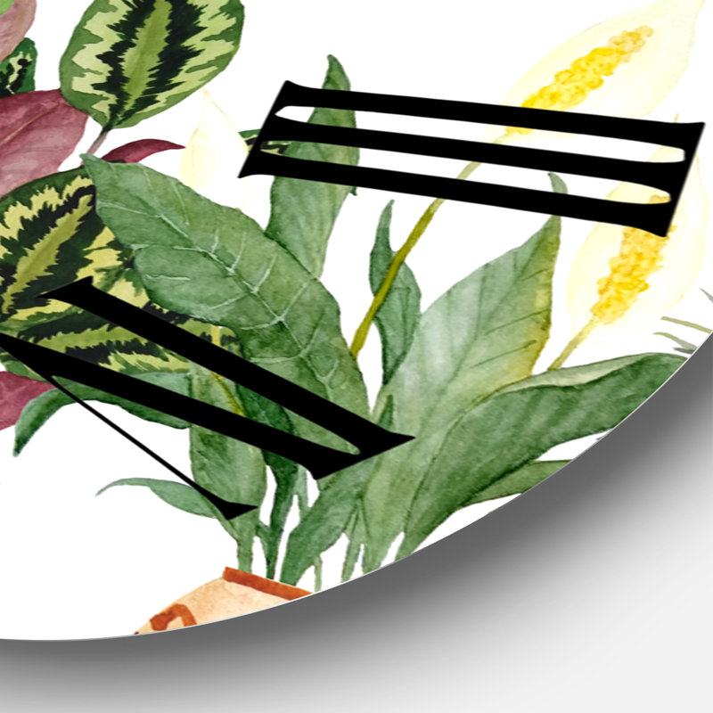 Trio de plantes d'intérieur Sanseviera Snake Plant - horloge murale de ferme, Surdimensionné