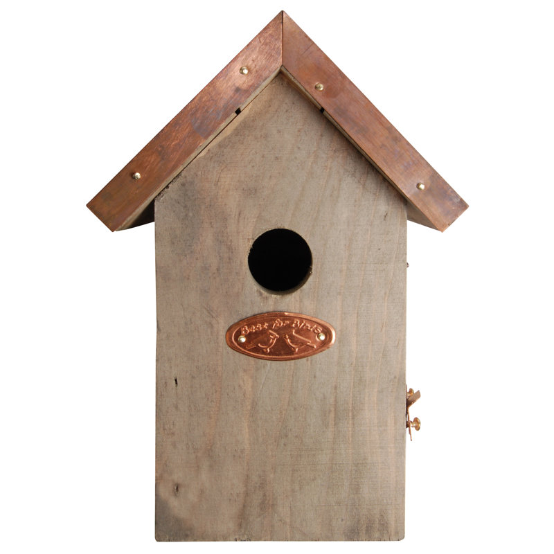 Wren Box/Copper Roof Fsc 100%