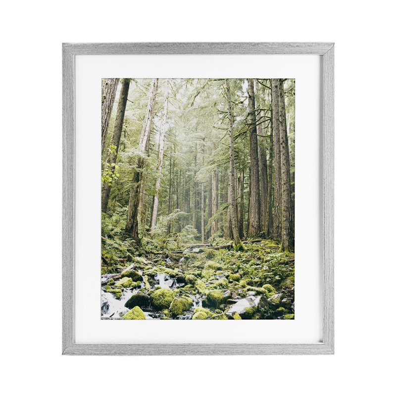 «Verdant Forest Glow Wilderness», reproduction sous verre encadrée, conception par Leah Straatsma, H 16 po x l 13 po