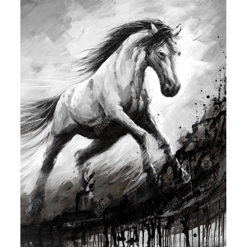 Cheval blanc dans le vent - Toile à motif animalier