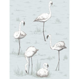 Flamingos Wallpaper Roll