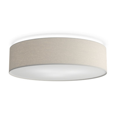 Flush Mount