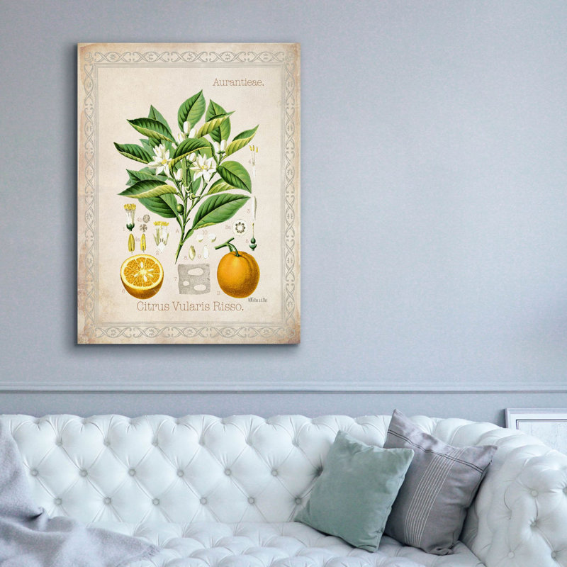 «Citrus Vularis Risso» par Jean Plout, art mural sur toile, H 54 po x l 40 po x P 1,5 po