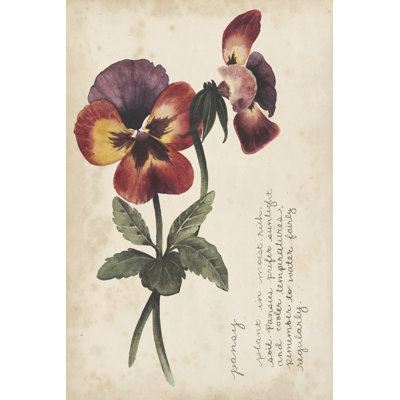 Garden Studies II by Grace Popp - Painting