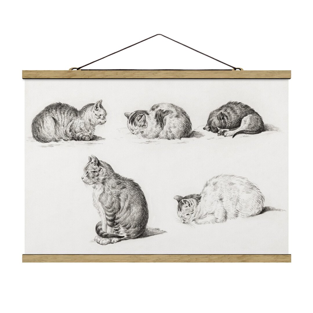 Grafikdruck Vintage Drawing Cat I