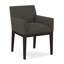 Upholstered Arm Chair-35998930-35999087