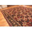Tapis rouge Agra
