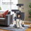 Cat Tree For Indoor Cats-1867777368