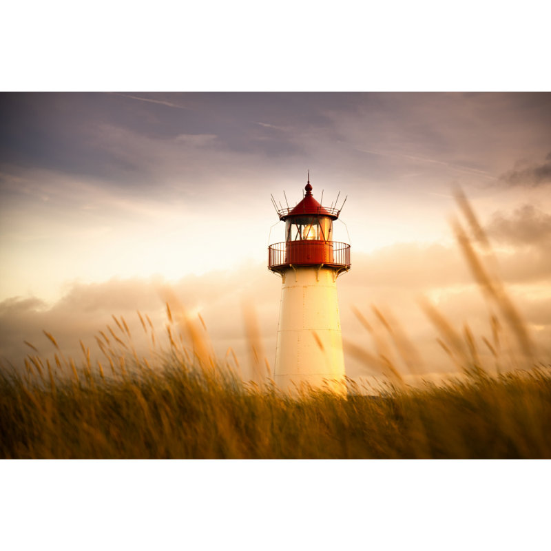 Wrapped Canvas Print, 50.8 cm H x 76.2 cm W
