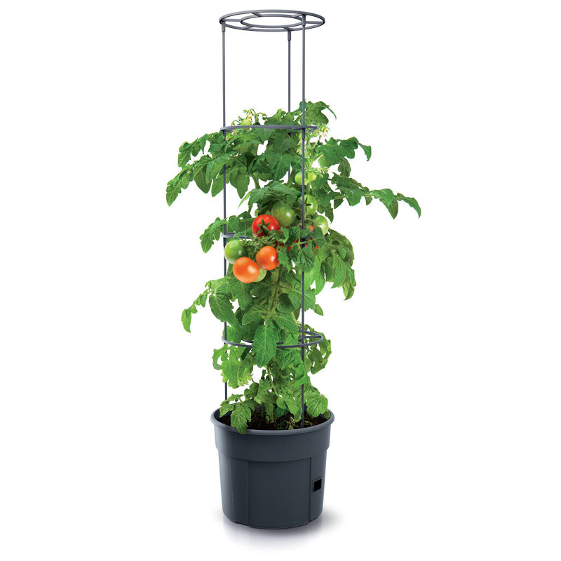Bavly Plant Support, 115.2cm H x 29.5cm W x 23.6cm D