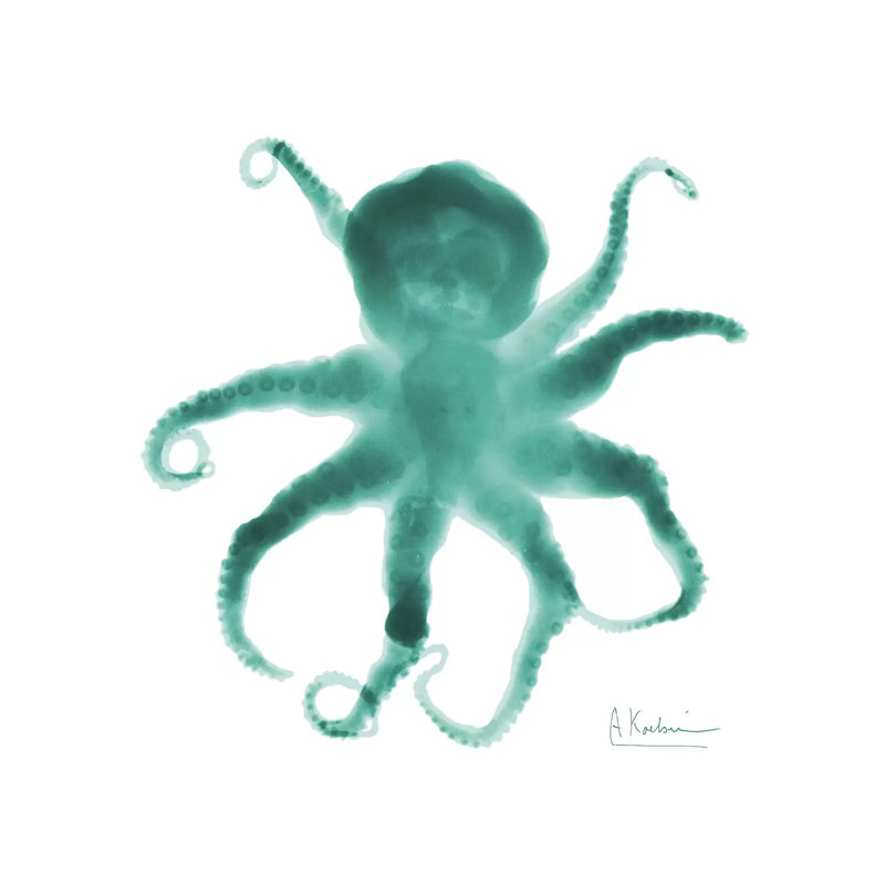 Octopus by Albert Koetsier - Wrapped Canvas Painting, 30.48cm H x 30.48cm W x 1.91cm D