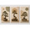 Très grand ensemble de 3 bonsaïs, reproduction d'art sur toile zen japonais, impression sur toile neutre minimaliste pour salon 24 x 36 pouces - prêt à être accroché