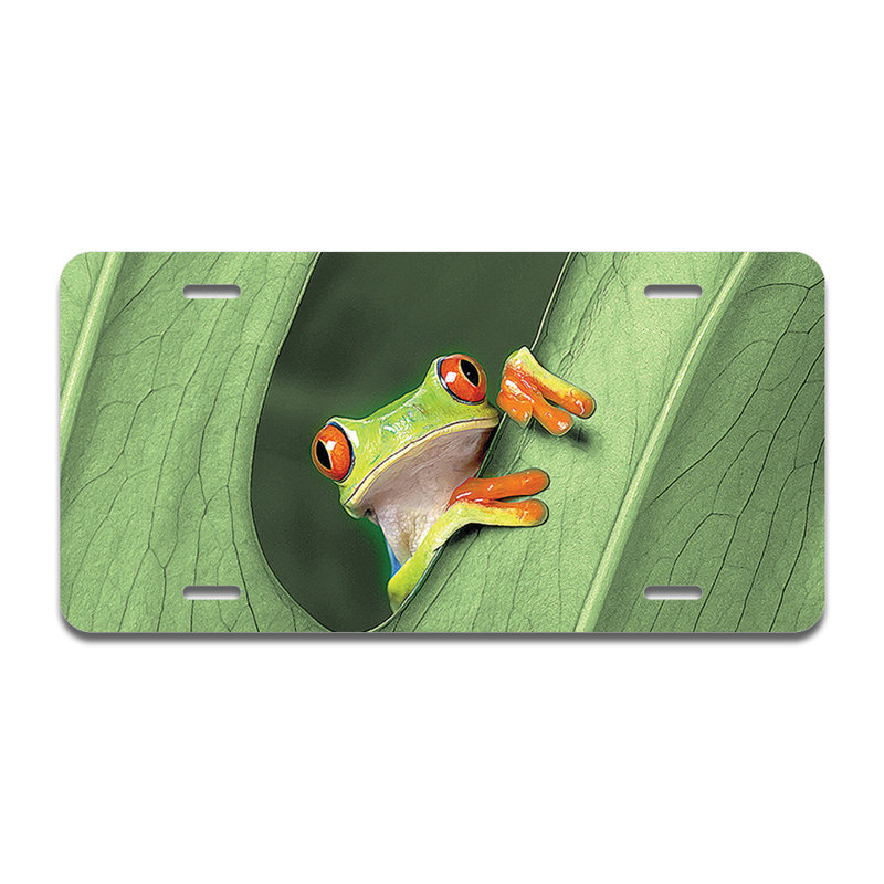 Cadre en aluminium Froggy