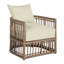 Newport Arm Chair with Cushions-63361294-84544964-93646467