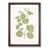Walnut Framed selected