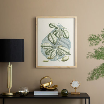 Buchoz Tropicals VI Framed Print - Solid Wood