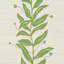 Schisacher X Marian Mcevoy Tendril rayé sisal-94826661
