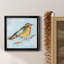Variété d'oiseaux IV - reproduction de cadre photo sur toile-1294467947-1294467927
