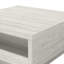 Caomhan Pedestal Coffee Table with Storage-1277667186