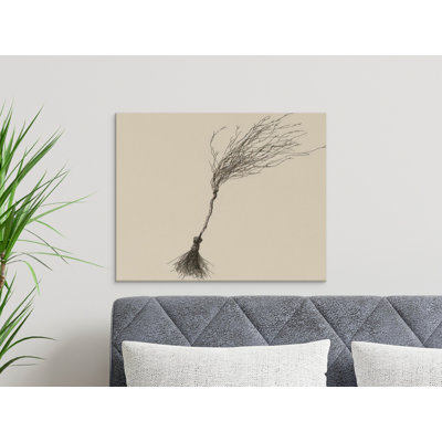 Sabatino Wrapped Canvas Print Set