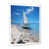 White Picture Framed selected