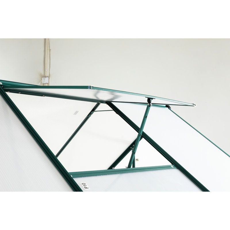 Serre 6 x 8 pi pour l'extérieur - Protège les plantes des intempéries avec des températures extrêmes de construction robuste