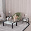 Table basse carrée en verre, ensemble de 2 tables de salon, 2 tables de thé moderne trempé, table de bout, transparent / noir-2018037082-2018037030