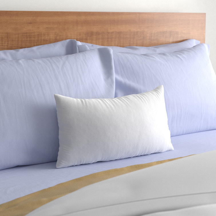 Wayfair Basics Pillow Insert Size: 11 x 21