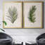 Palm Botanical I - ensemble de 2 photographies sur toile-1425392437-1425392431-1350425250