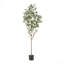 Arbre artificiel eucalyptus artificiel-230520460