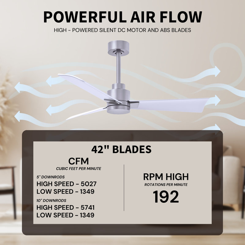 Alessandra Outdoor Downrod Ceiling Fan, Matte White, Brushed Nickel