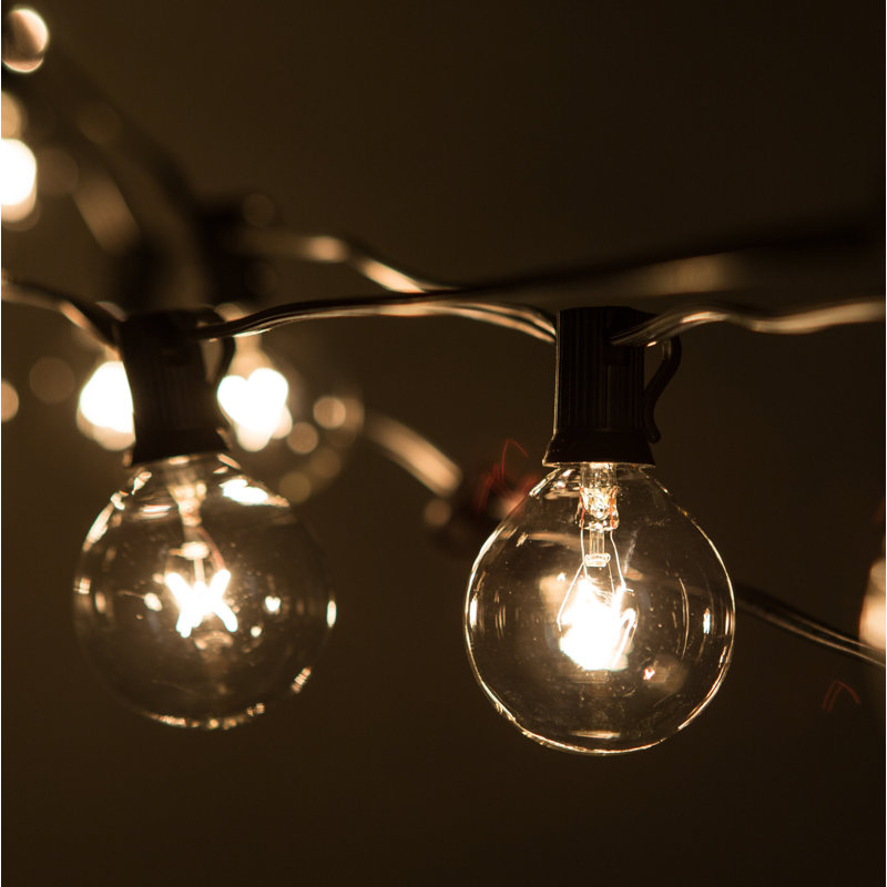 Renfro Outdoor 25 - Bulb 25'' Plug-in Globe String Light, Black