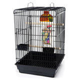 Large Top Starter Bird Kit