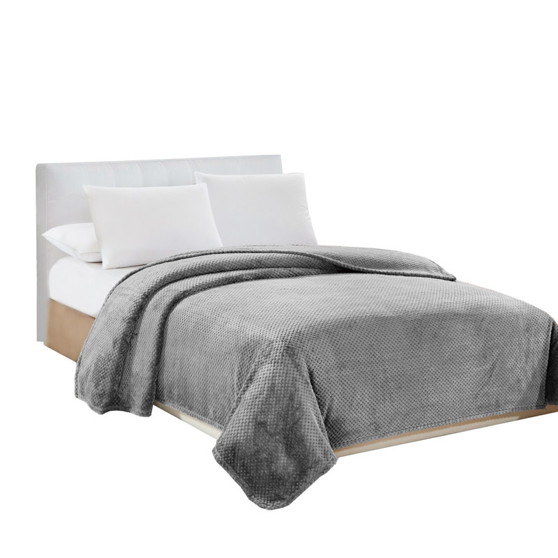 Couverture Ardilla, Gris, Grand