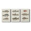 «Species of Antique Fish III», ensemble de 3 impressions sur toile tendue-1234478809