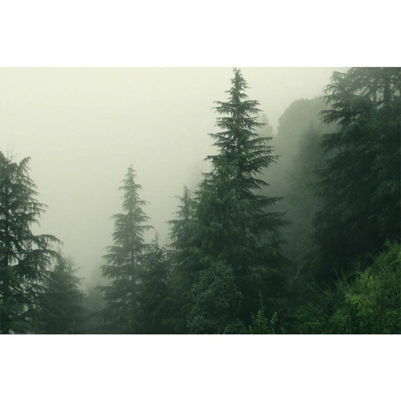 Murale à peindre Nordic Misty Forest, L 96 po x l 66 po