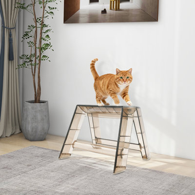 2-Step Modern Minimalist Protable Clear Step Stool Ladder For Indoor Outdoor Library Kitchen
