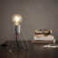 Callisto Desk Lamp