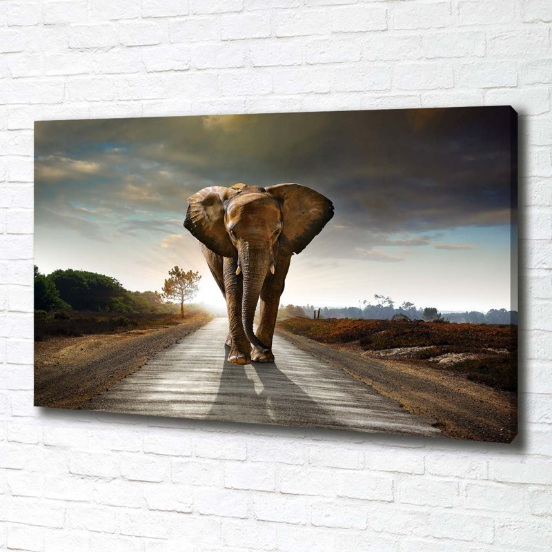 Strolling Elephant - No Frame Print on Canvas