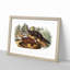 Mink by J.W. Audubon - Picture Frame Painting Print-55733670-55733672