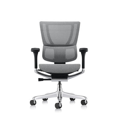 Ergohuman Xtreme Lo Back