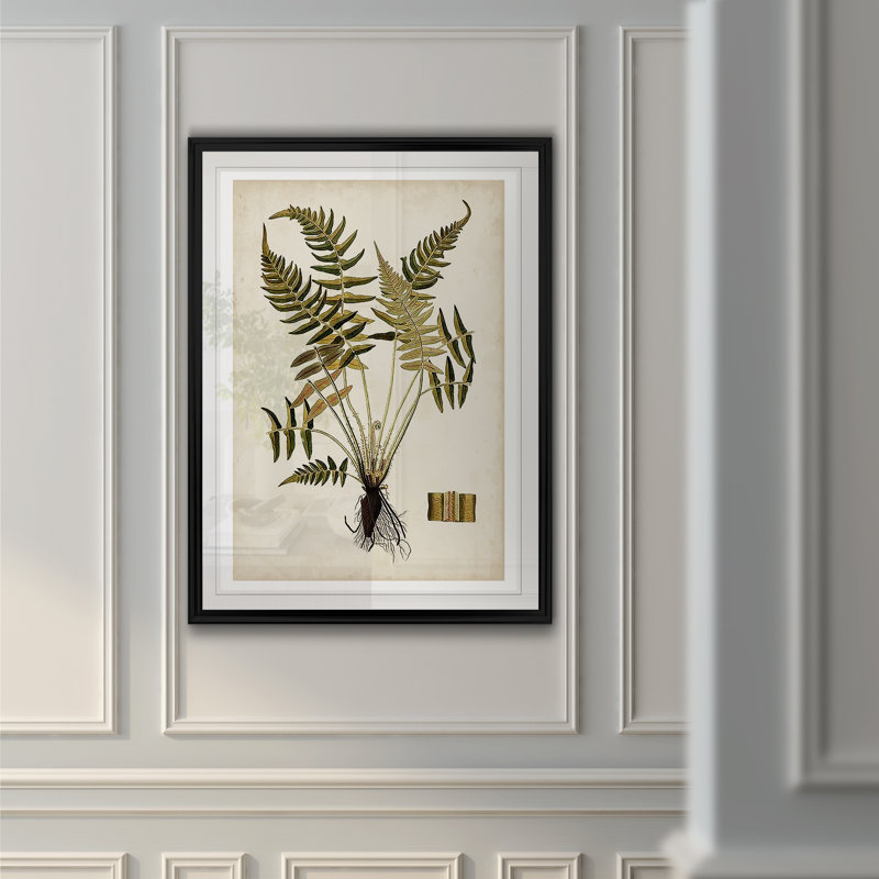 « palm botanique iv »-impression sur toile, H 18,5 po x l 24,5 po x P 1,5 po, Cadre noir