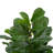 59.1'' Faux Fiddle-Leaf Fig Tree Tree in Cement Pot