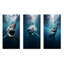 Requin bleu apex photo prédateur - requin en métal, ensemble de 3 décorations murales-1610678810