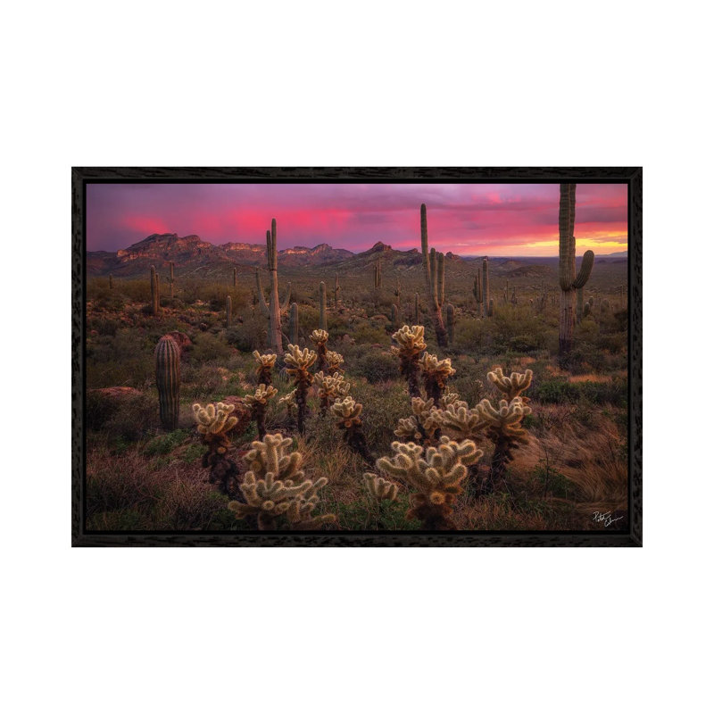 Dance Of The Desert by Peter Coskun - Floater Frame Print on Canvas, Black Framed Canvas, 101.6 cm H x 66.04 cm W