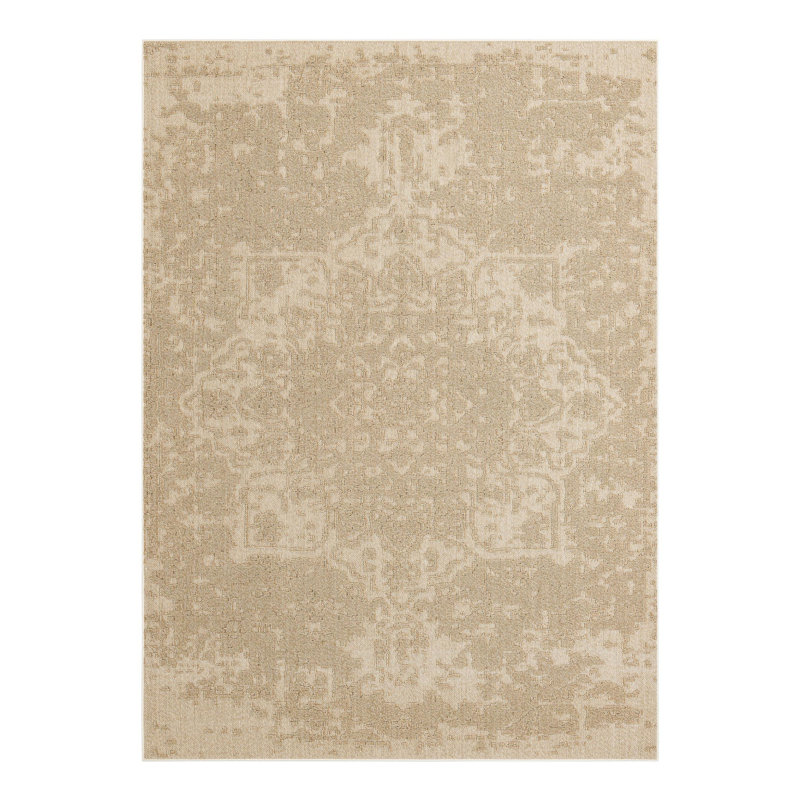 Indoor/Outdoor Traditional Area Rug, Rectangle 9' x 12'