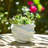 Pottery & Cement Planter With Sculpted Textured Design For Indoor Outdoor Home & Garden Decor - 5" White