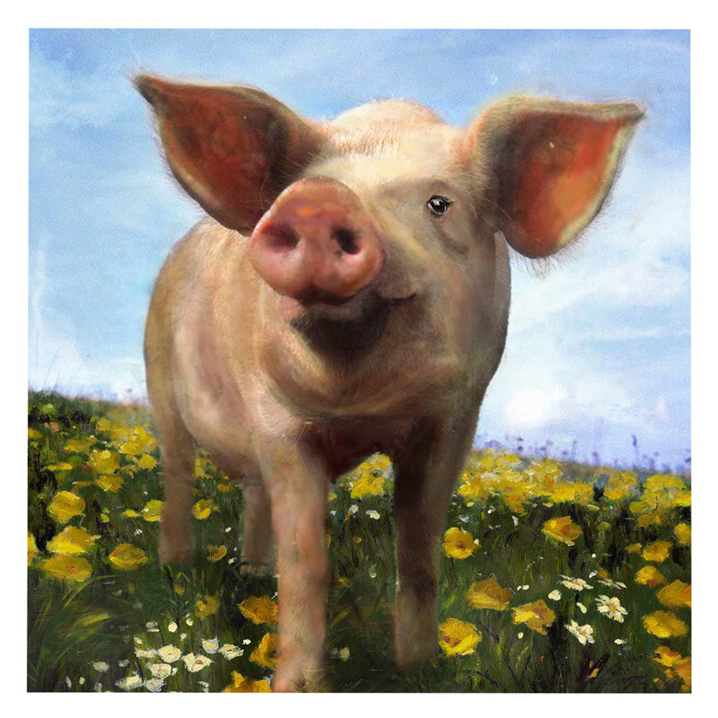 « porc out », impression sur toile